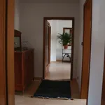 Rent 4 bedroom apartment of 72 m² in Dortmund