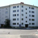 Rent 2 bedroom apartment of 56 m² in Basel