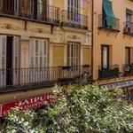 Rent a room of 120 m² in madrid