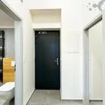 Rent 1 bedroom apartment of 46 m² in Šternberk