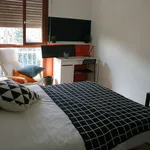 Rent a room in turin