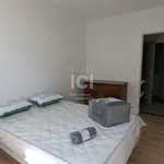 Appartement de 45 m² avec 1 chambre(s) en location à Saint-Sébastien-sur-Loire