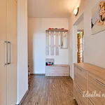 Rent 3 bedroom apartment of 77 m² in Brno