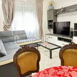 Rent 3 bedroom apartment of 100 m² in Rome