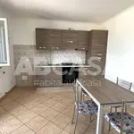 Rent 2 bedroom apartment of 55 m² in Velletri