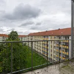 Rent 3 bedroom apartment of 66 m² in Plauen