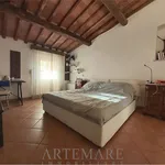 Affitto 4 camera appartamento di 150 m² in Pietrasanta