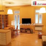 Rent 1 bedroom apartment in Capital City of Prague