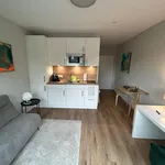 Rent 1 bedroom apartment of 25 m² in Dortmund