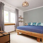 Rent 1 bedroom apartment of 50 m² in berlin