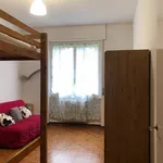 Rent 2 bedroom apartment of 65 m² in Milano