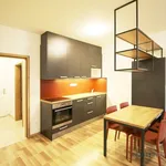 Rent 1 bedroom apartment of 38 m² in Capital City of Prague