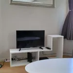 Rent 1 bedroom apartment in brussels