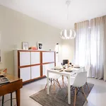 Rent 6 bedroom apartment of 130 m² in Bologna