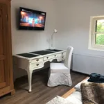 Rent 1 bedroom apartment of 70 m² in Dresden