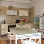 Rent 2 bedroom apartment of 62 m² in Torino