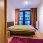 Huur 2 slaapkamer appartement van 100 m² in brussels