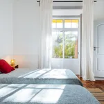 Rent 5 bedroom apartment in Lisbon