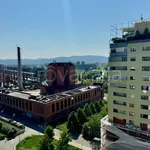 Rent 3 bedroom apartment of 72 m² in Torino