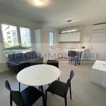 Rent 2 bedroom apartment of 61 m² in Segrate