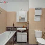 Rent 2 bedroom apartment of 53 m² in Brno