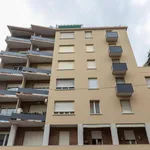 Rent 2 bedroom apartment in Bologna