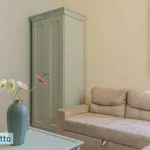 Rent 2 bedroom apartment of 50 m² in Pisa