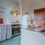 Rent 1 bedroom apartment of 45 m² in Turin