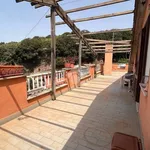 Rent 2 bedroom apartment of 85 m² in Trevignano Romano