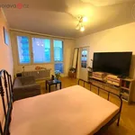 Rent 2 bedroom apartment of 35 m² in Brno-sever