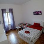 Rent a room in Firenze