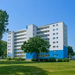 Rent 2 bedroom apartment of 50 m² in Dortmund