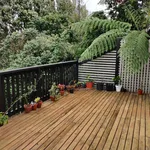 Rent 3 bedroom house in New Plymouth