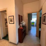 Rent 3 bedroom apartment of 80 m² in Roma