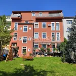 Rent 1 bedroom apartment of 40 m² in České Budějovice