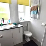 Rent 1 bedroom flat in Teignbridge