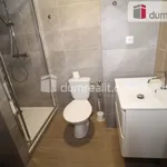 Rent 3 bedroom apartment of 100 m² in Mariánské Lázně