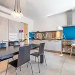 Rent 4 bedroom apartment of 164 m² in Zagreb