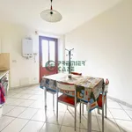 Rent 2 bedroom apartment of 45 m² in Turin