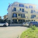 Rent 2 bedroom apartment of 55 m² in Velletri