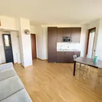 Rent 2 bedroom apartment of 55 m² in Milano