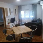 Najam 2 spavaće sobe stan od 60 m² u Grad Rijeka