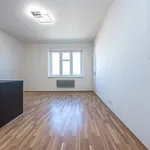 Rent 1 bedroom apartment in Capital City of Prague