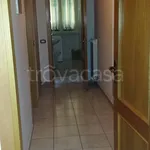 Rent 3 bedroom apartment of 65 m² in Frosinone