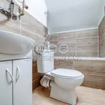 Rent 2 bedroom apartment in Louny