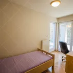 Rent 3 bedroom apartment of 117 m² in Budapest