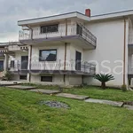 Rent 2 bedroom apartment of 50 m² in Rotondi