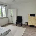 Rent 4 bedroom apartment of 100 m² in Stuttgart