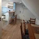 Rent 1 bedroom apartment in Beroun