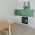 Rent 3 bedroom apartment of 52 m² in Carrara